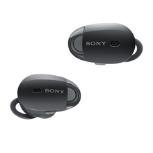 画像をギャラリービューアに読み込む, 全体を写したSONY WF-1000Xのブラック