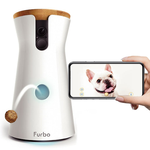 全体を写したFurbo ドックカメラと犬を写したスマートフォン